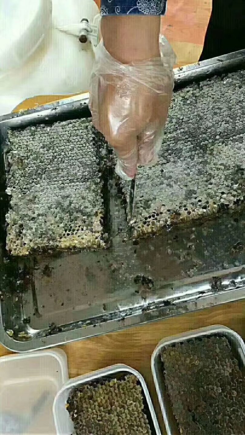 长白山黑蜂自然成熟原蜜