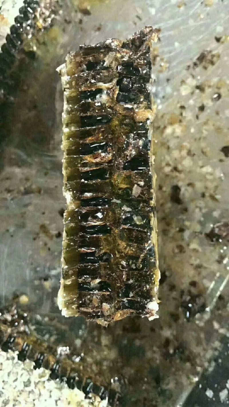 长白山黑蜂自然成熟原蜜