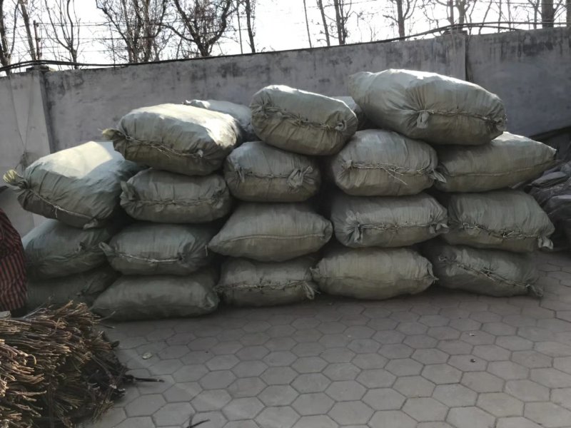 药食两用灵芝切片散货现货全国发货品质保障