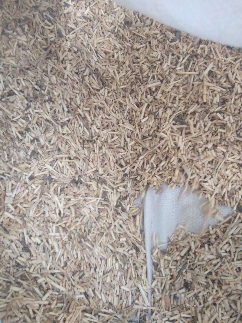 白茅根