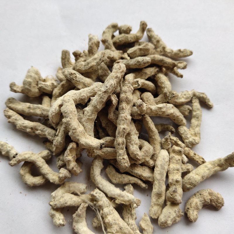 僵蚕，白僵蚕，过筛，关书药业，，批发各种规格中药材