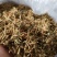 金银花
