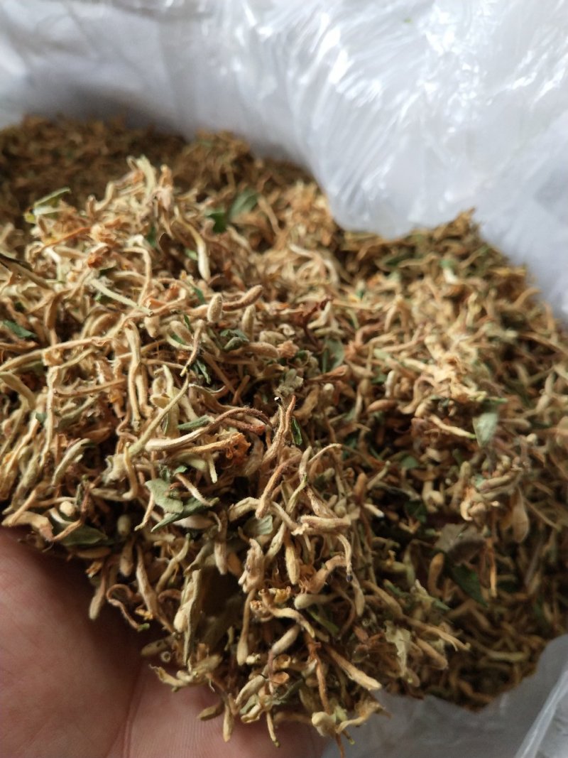 金银花