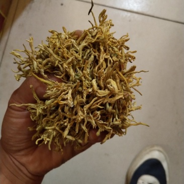 金银花