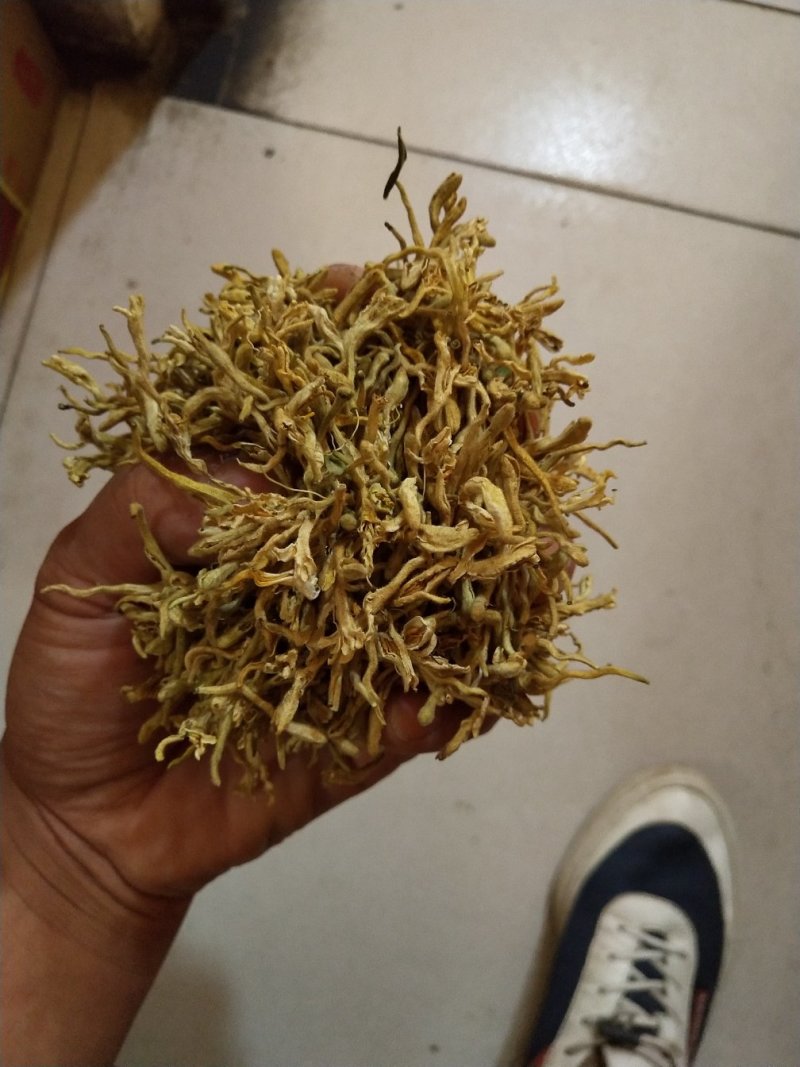 金银花
