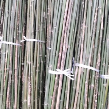 菜架竹丶竹片丶大棚竹杆