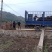 山核桃碧根果小苗品种保证可签合同。零售价18