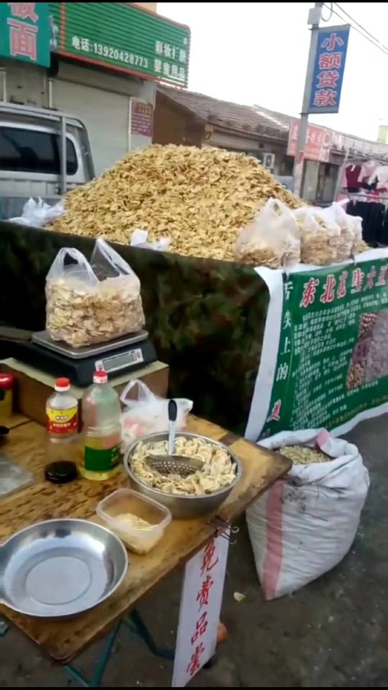 东北大豆耳豆类大豆农作物粮油作物凉拌菜跑江湖地摊展会门店