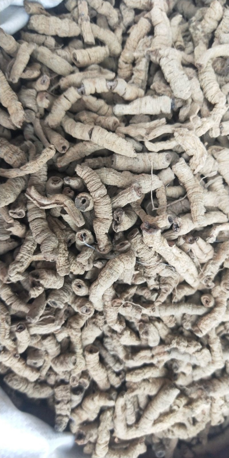 巴戟天中药材批发优质无硫巴戟肉抽芯巴戟干小肉大肉规格