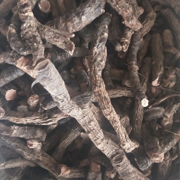 血三七，经营上千多种中药材