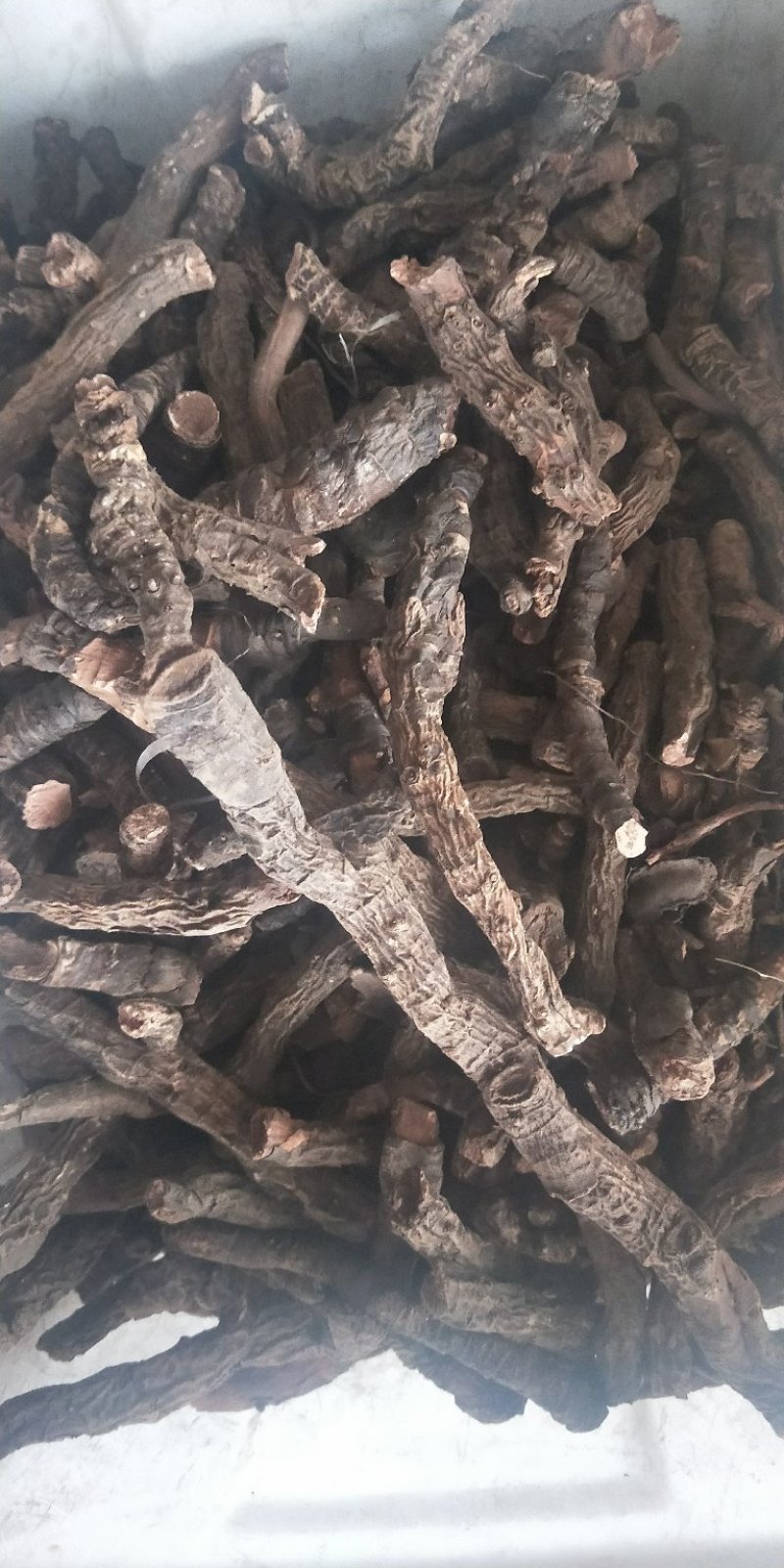 血三七，经营上千多种中药材
