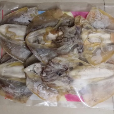 墨鱼干