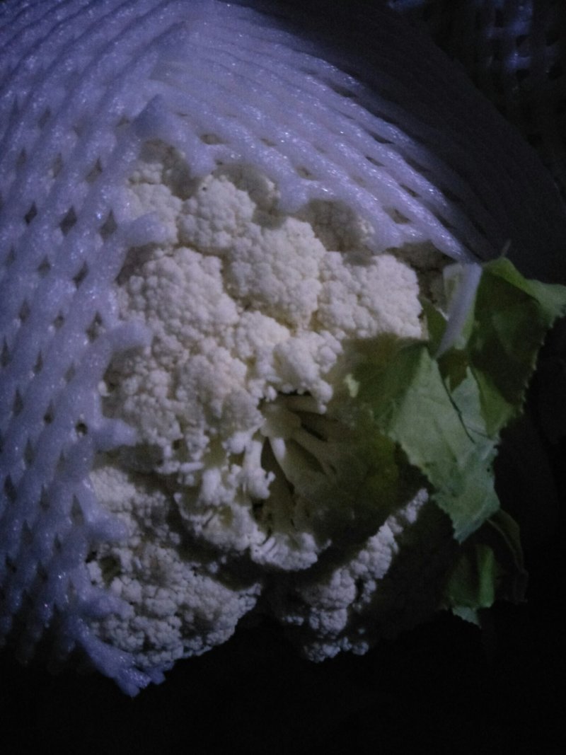 菜花紧花