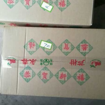 芦柑