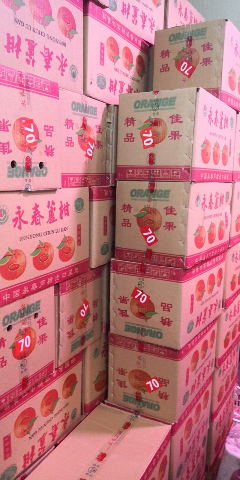 芦柑