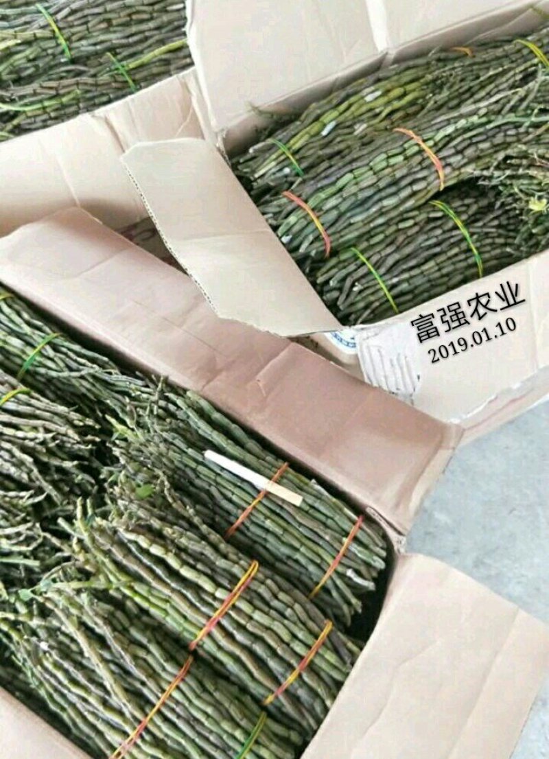 富强生态农业铁皮石斛鲜条135元/斤包邮