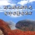 纯甜~诚招代理一件代发~奉节脐橙鲜果，多汁少洛
