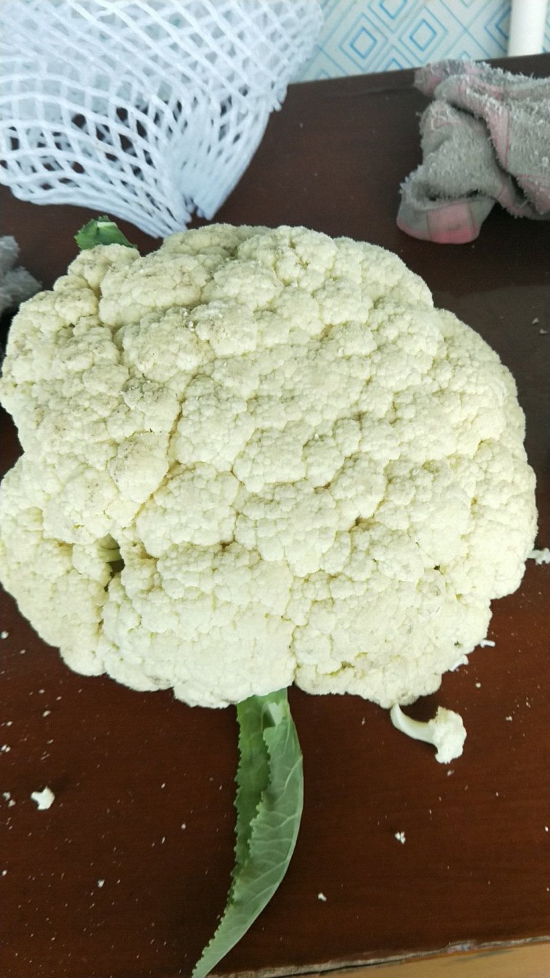 有机散花