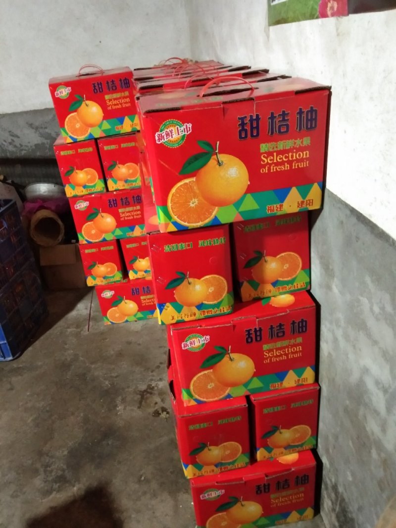 建阳桔柚想要的来哦
