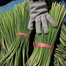 大张红帽蒜薹，条绿，。。。。。。