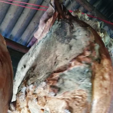 高海拨原生态农家火腿