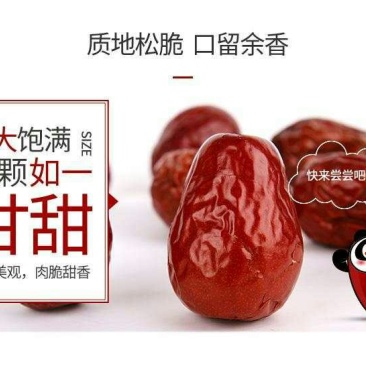 和田大枣特级