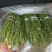 柠檬枝条，诚信经营品质保证