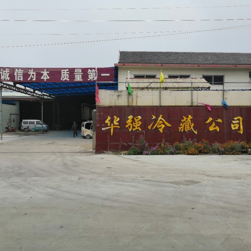 蒜苔，精品货常年批发销售全国均可欢迎采购