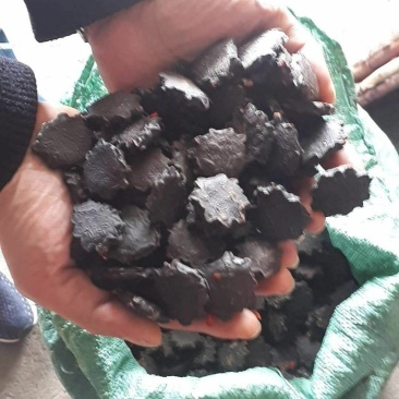 大量供应木鳖子