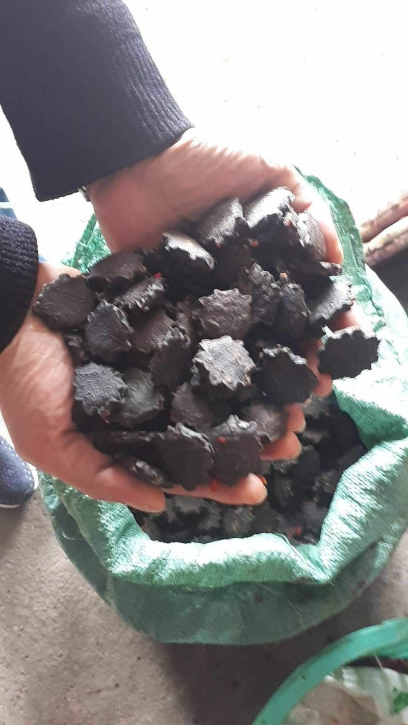 大量供应木鳖子