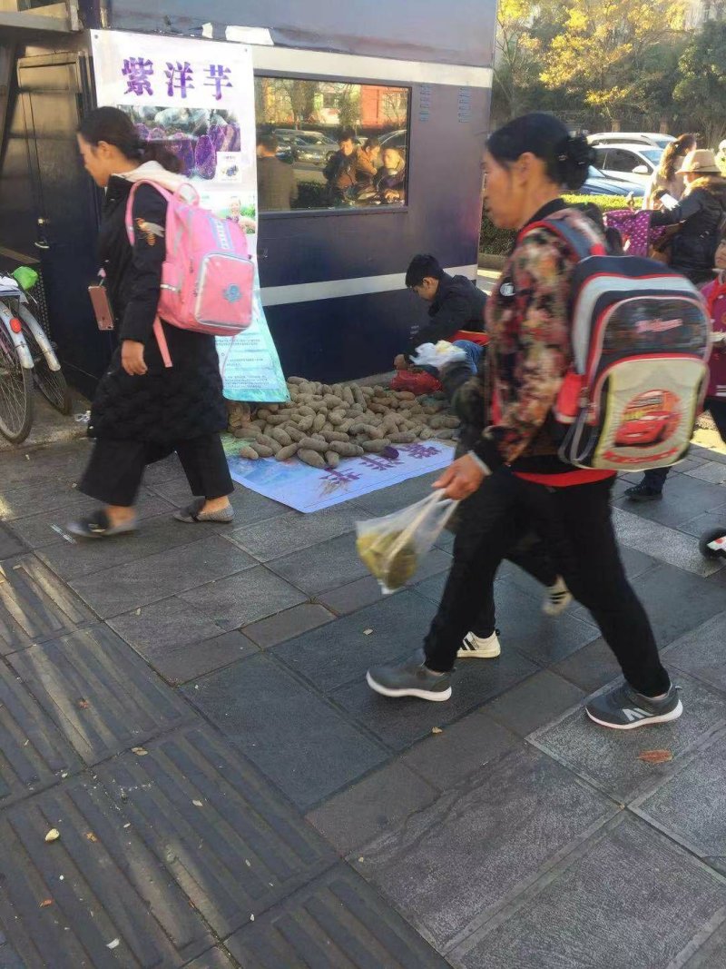 紫土豆