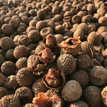 桂味荔枝干