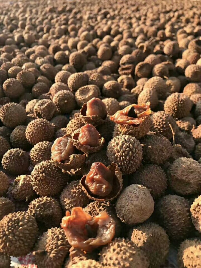 桂味荔枝干