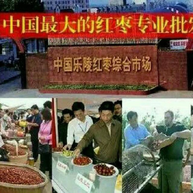 元红大枣厂家直供以质论价量大优惠