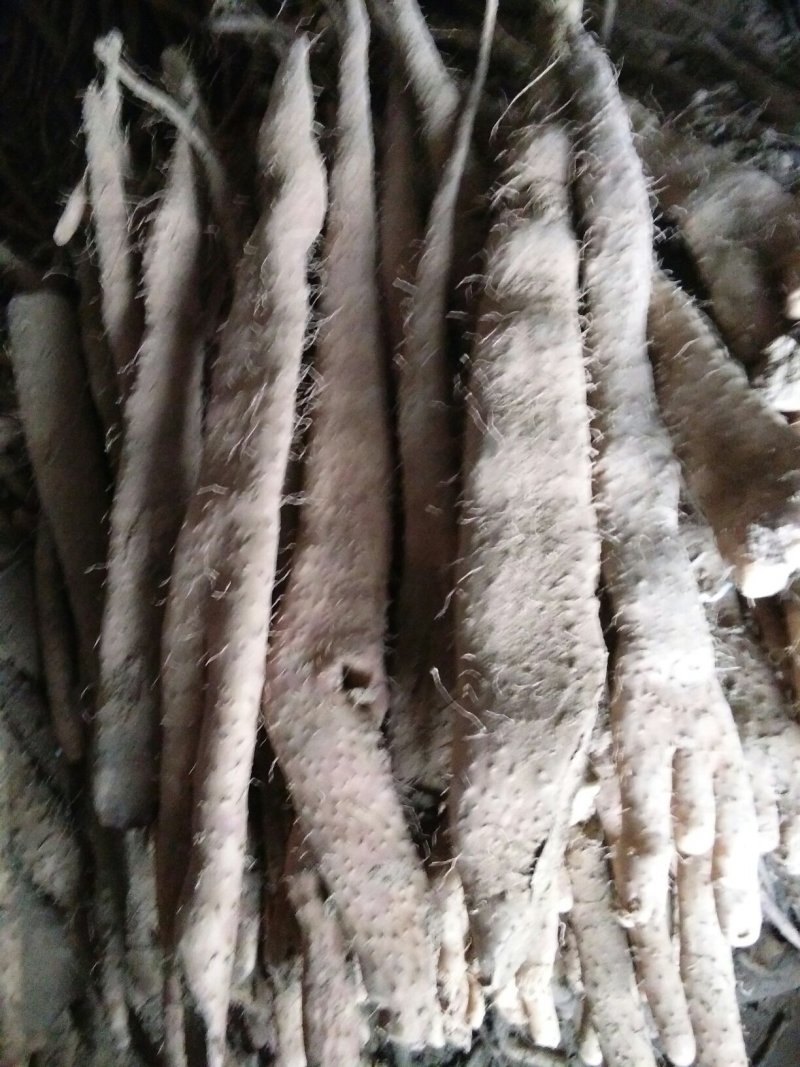 佛手