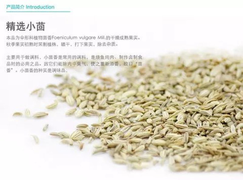 茴香仔1斤包邮