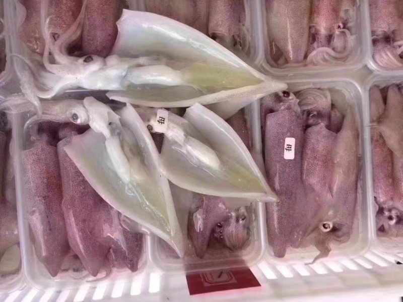 满籽鱿鱼食用冰冻，带籽量99%
