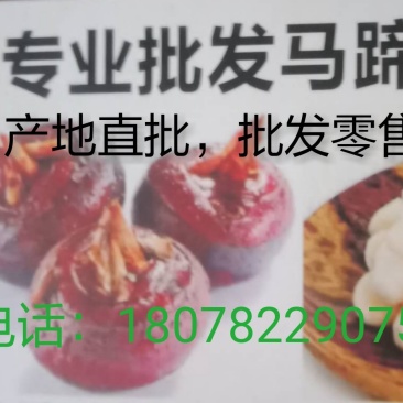 产地直批，清口马蹄