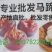 产地直批，清口马蹄