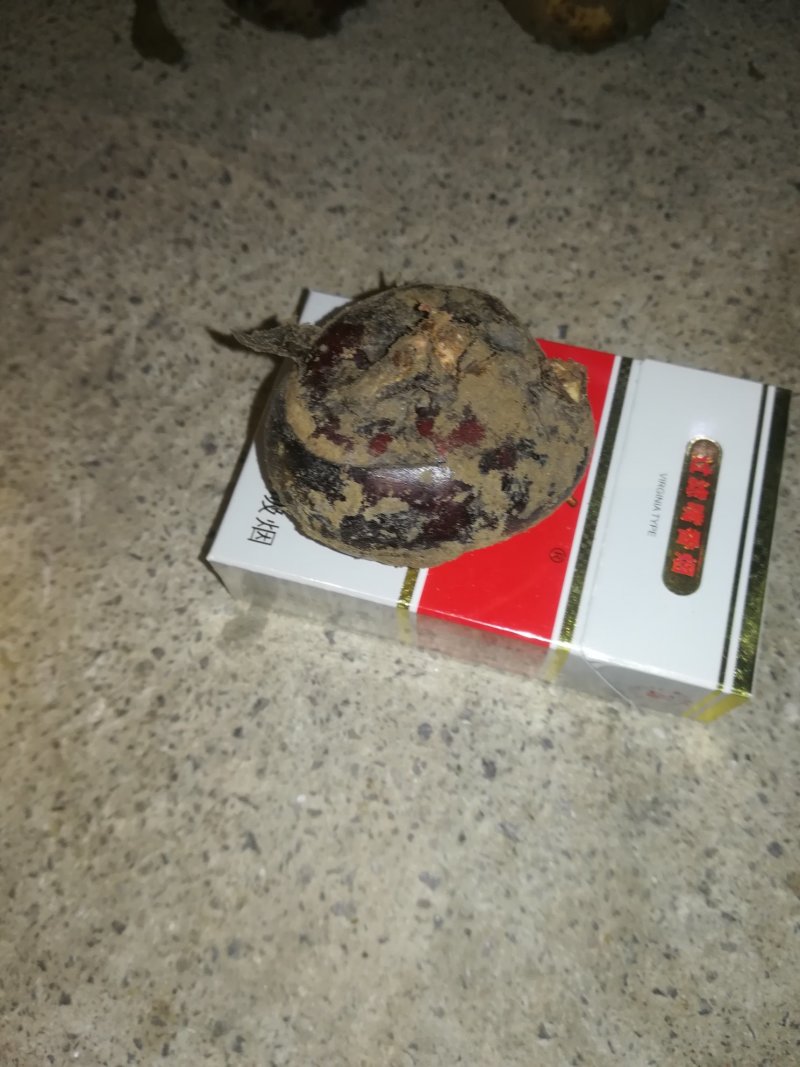 产地直批马蹄，无套路！长期合作诚信为本！