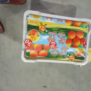 沃柑广西精品沃柑热销中，欢迎您的选购，合作共赢