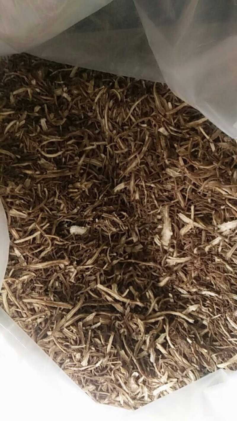 当归股子片
