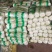 北京三号白菜一4一6斤净山东济宁市泗水县菜每斤6分