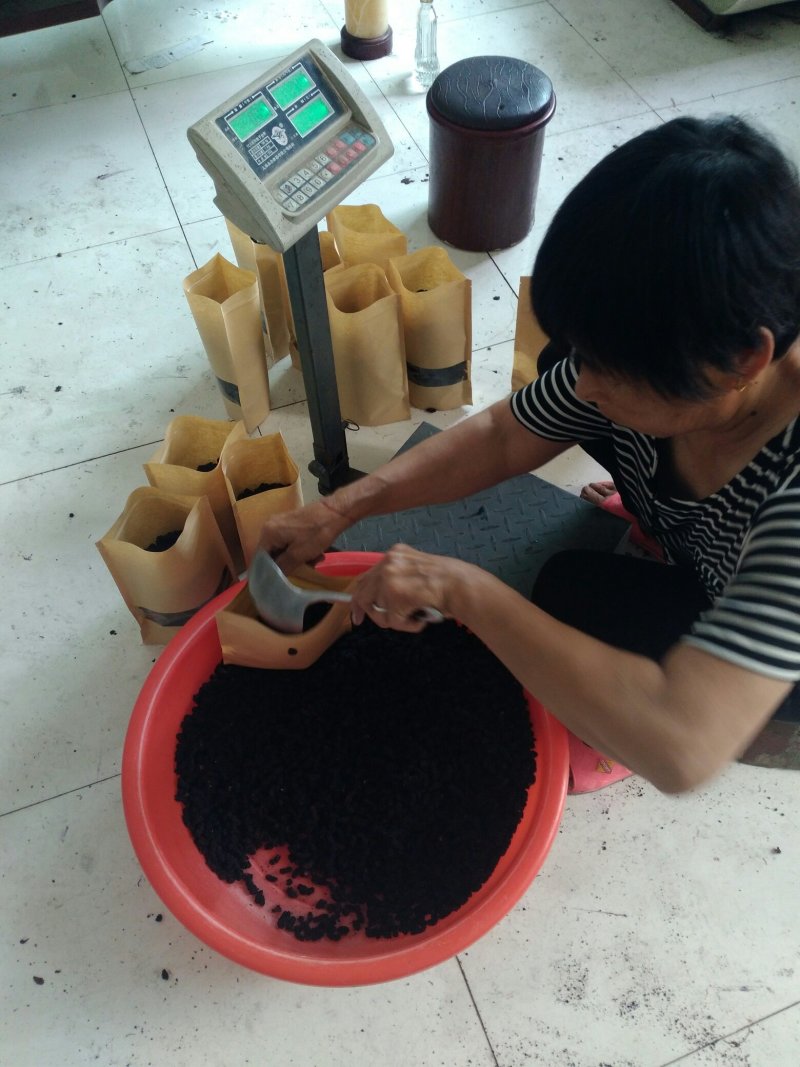 桑果～～鲜桑果种植基地特级12.5食品厂！电商药材商订购
