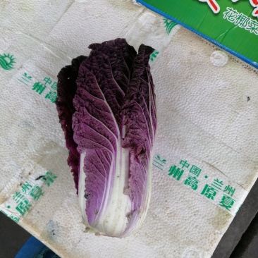 紫白菜