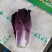 紫白菜