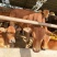 肉牛犊活体西门塔尔牛纯种牛犊小牛犊活体3-6个月苗江西黄