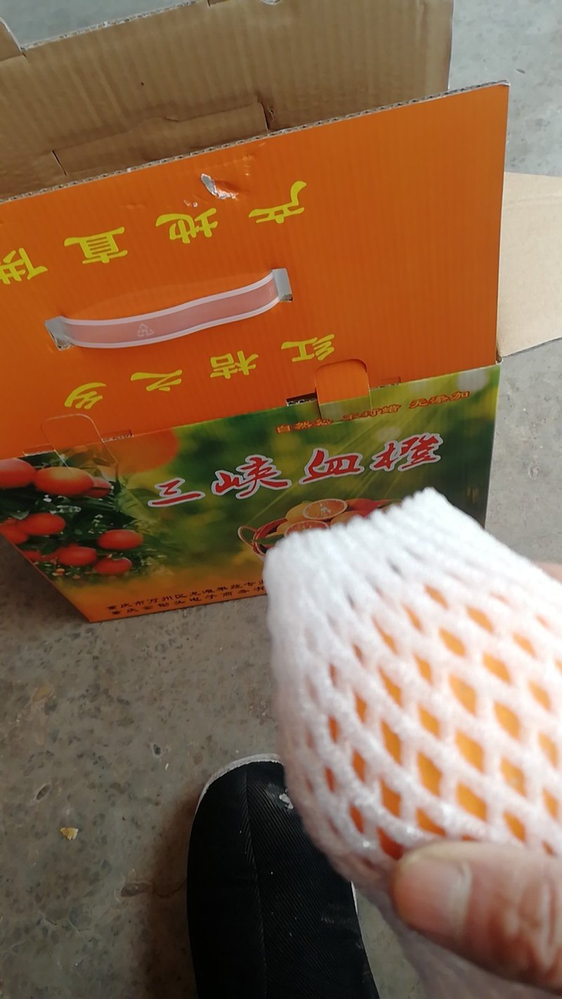 塔罗科血橙