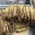 【特别推荐】各种规格长白山精品无糖高丽红参，