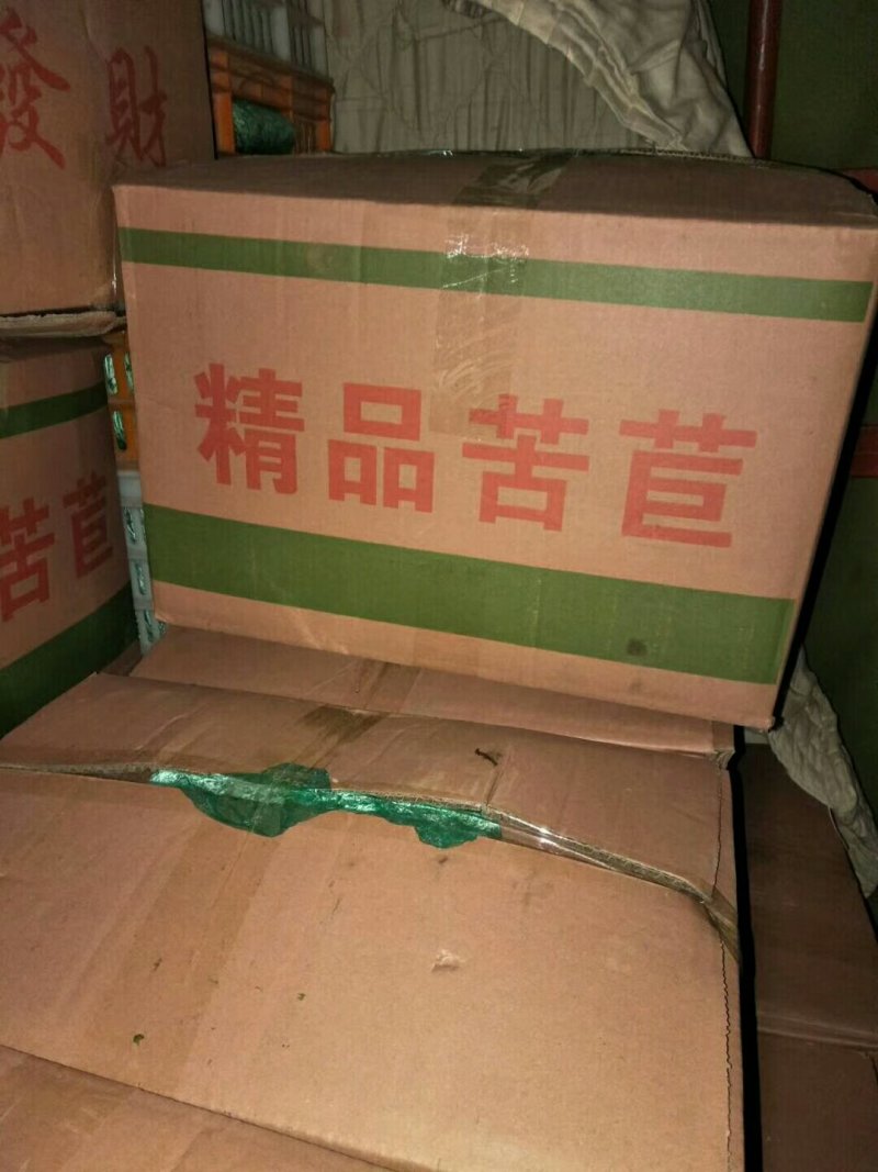 苦菊